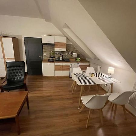 Francis Apartment - Lazenske Centrum カルロヴィ・ヴァリ エクステリア 写真