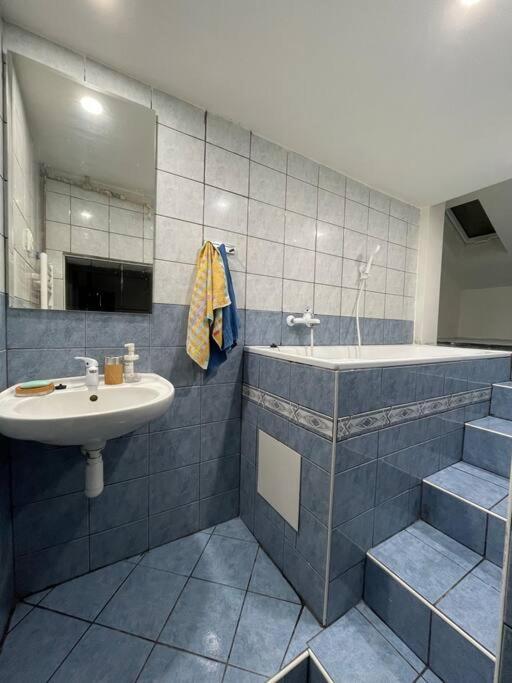 Francis Apartment - Lazenske Centrum カルロヴィ・ヴァリ エクステリア 写真