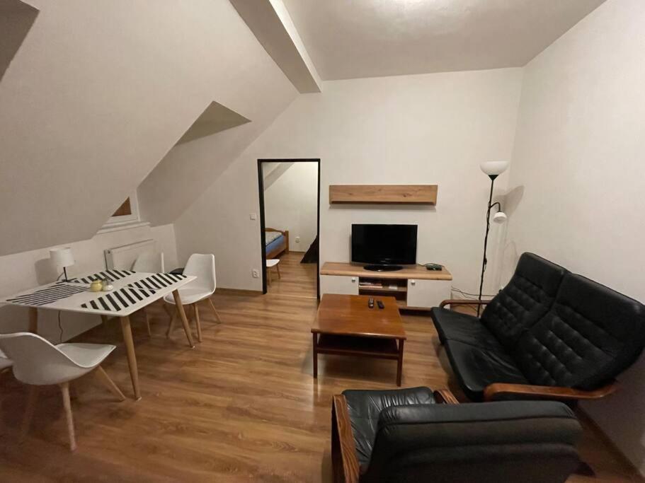 Francis Apartment - Lazenske Centrum カルロヴィ・ヴァリ エクステリア 写真